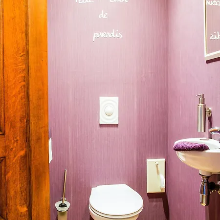 In Biטvre With Garden Villa